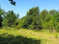Vente Terrain agricole 12 527 m&sup2; — photo 4
