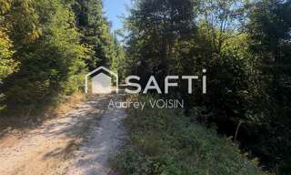 Terrain  31250 m² à vendre à Le Ménil (88160)