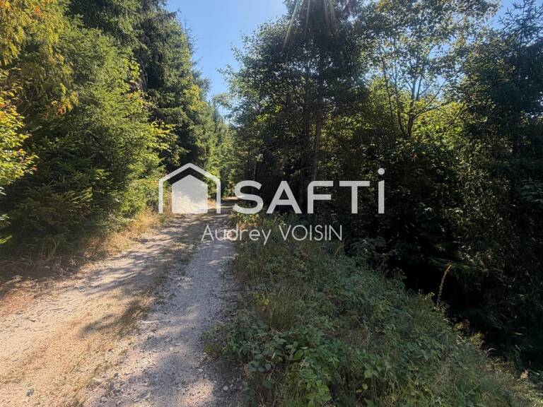 EN EXCLUSIVITE UNE BELLE FORÊT DE PLUS DE 3 HECTARES — photo 1