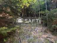 EN EXCLUSIVITE UNE BELLE FORÊT DE PLUS DE 3 HECTARES — photo 3