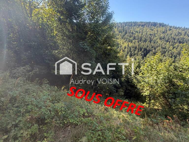 EN EXCLUSIVITE UNE BELLE FORÊT DE PLUS DE 3 HECTARES — photo 1
