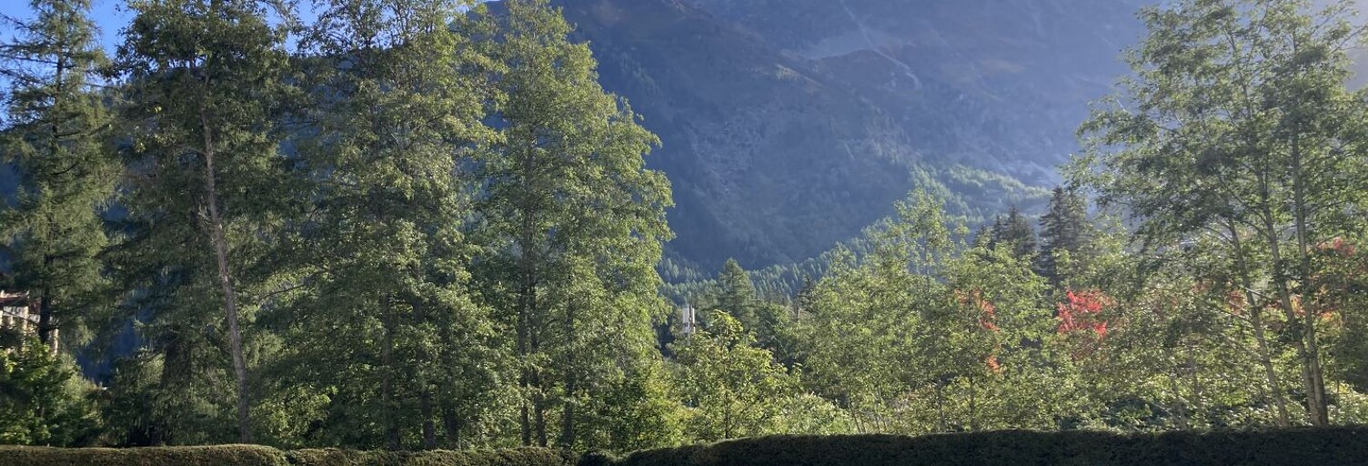 Appartement 1 Pièce 12 m² à vendre à Chamonix-Mont-Blanc (74400)