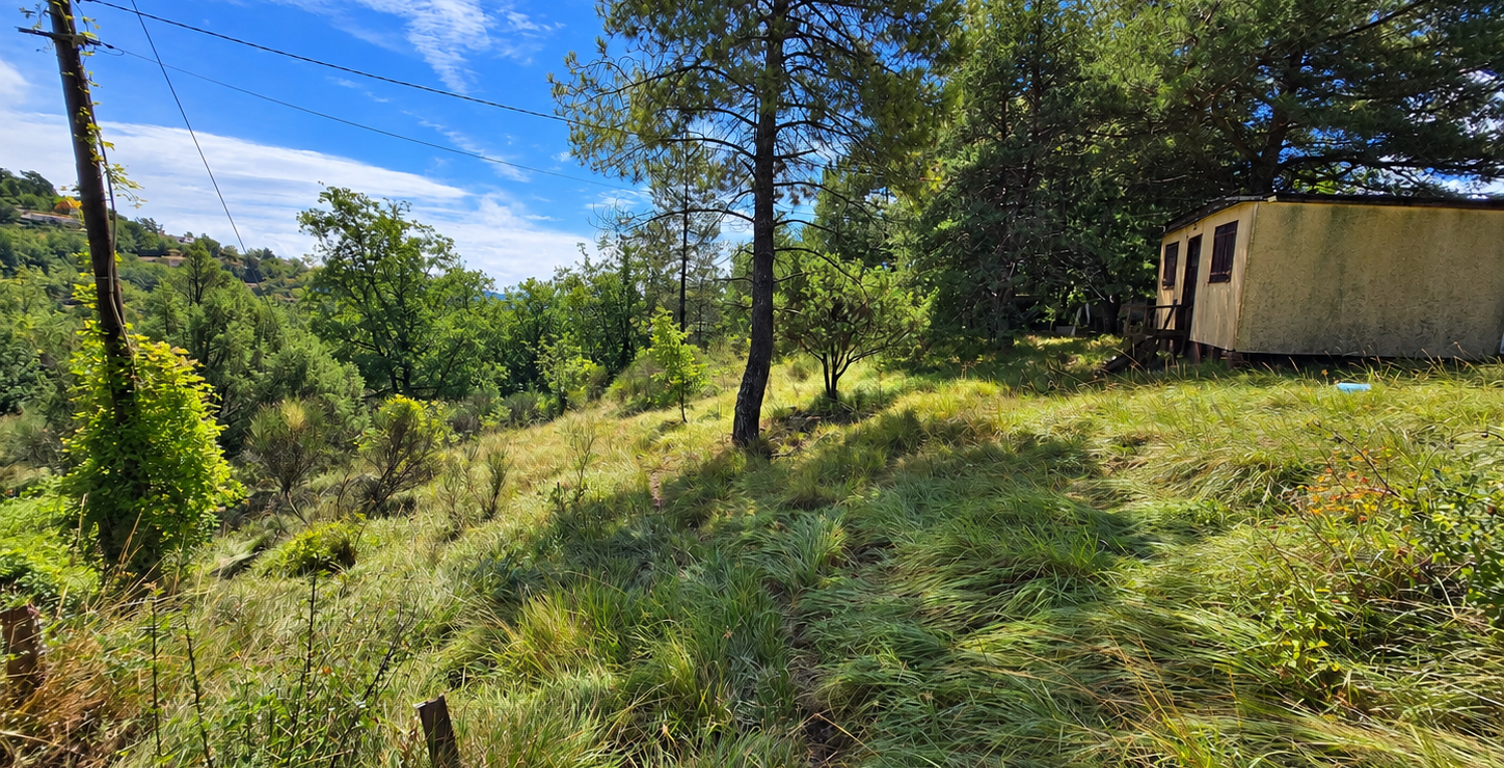 Pour un week-end paisible — photo 1