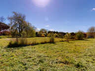 Grand terrain plat de 1500m2 — photo 3