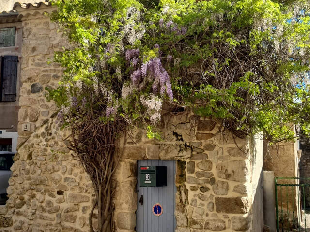 Maison en pierres au coeur du village d'OUVEILLAN — photo du bien