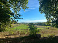 Domaine équestre avec propriété de caractère rénovée - 188m² - 4 chambres - 7 hectares de terrain - ESCLAVELLES — photo 4