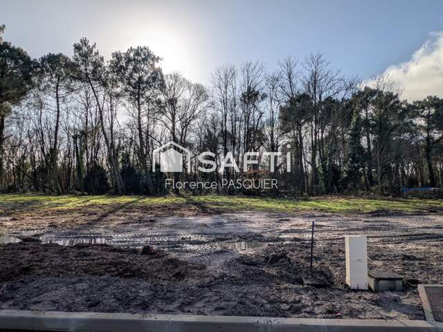 Rare sur St Aubin-du-Médoc — photo du bien
