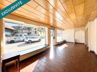 À VENDRE  ENSEMBLE IMMOBILIER MIXTE À Dannemarie  LOCAL COMMERCIAL LIBRE + APPARTEMENT LOUÉ — photo 3