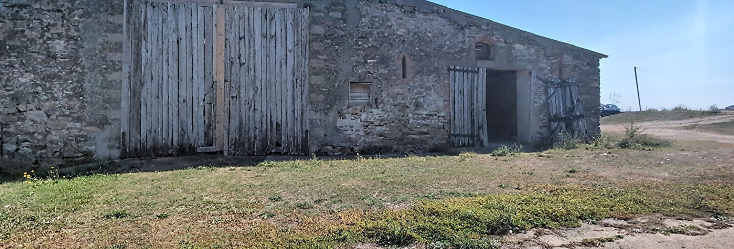 Maison 3 Pièces 300 m² à vendre à Vieillevigne (44116)