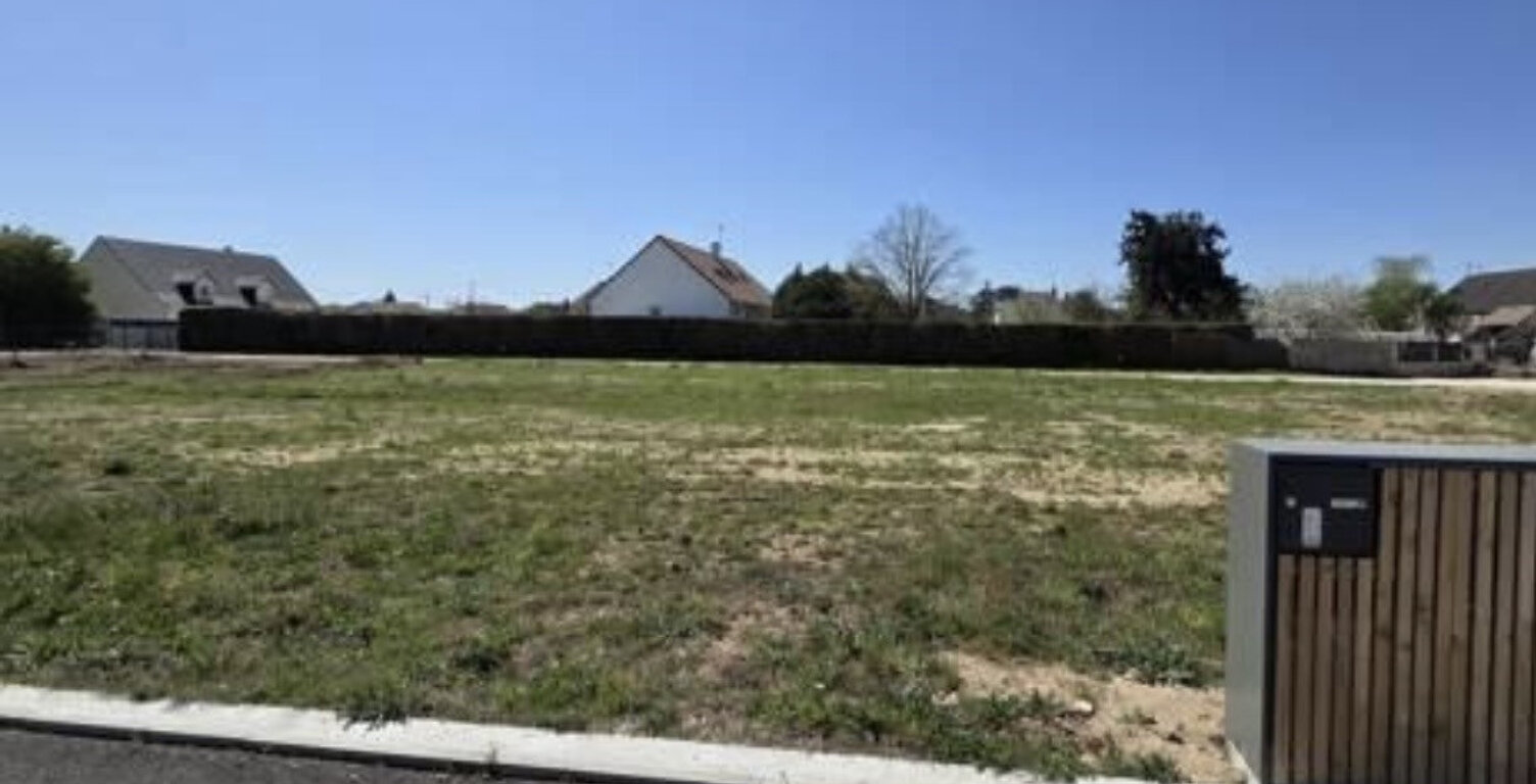 Terrain — photo 1