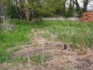 Terrain à bâtir 1000 m²  51000€ — photo 2