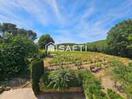 Maison atypique au calme absolu face aux vignes — photo 4