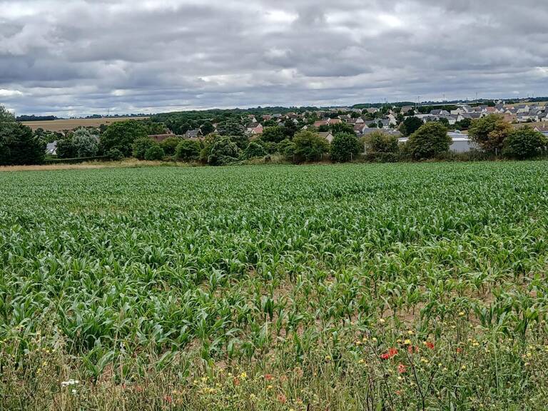 THAON. Faire vite, dernier terrain.430 M².95000 €. — photo 1