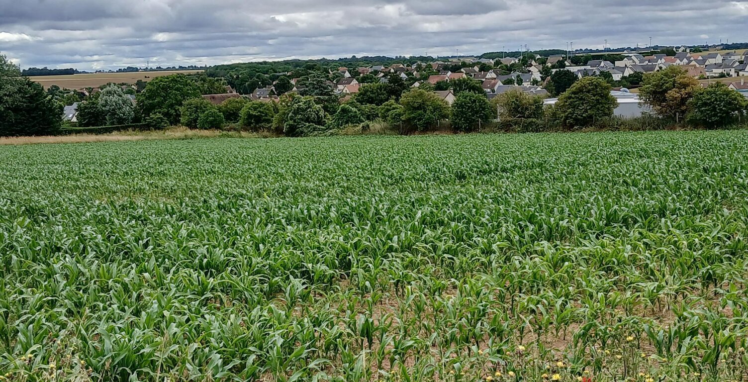 THAON. Faire vite, dernier terrain.430 M².95000 €. — photo 1
