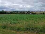 THAON. Faire vite, dernier terrain.430 M².95000 €. — photo 2
