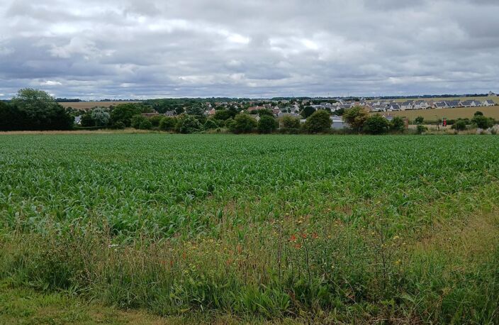 THAON. Faire vite, dernier terrain.430 M².95000 €. — photo 2
