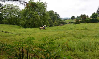 Terrain  3370 m² à vendre à Arbonne (64210)