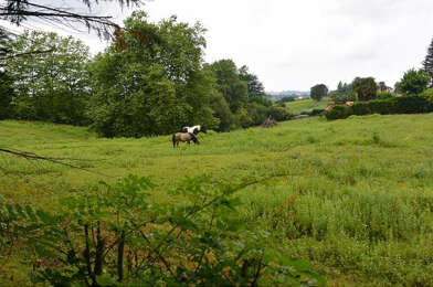 Terrain  550000 €
