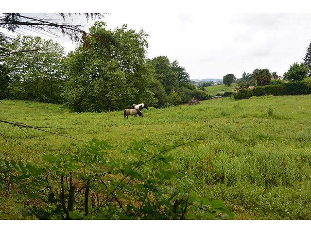Grand terrain au calme — photo du bien