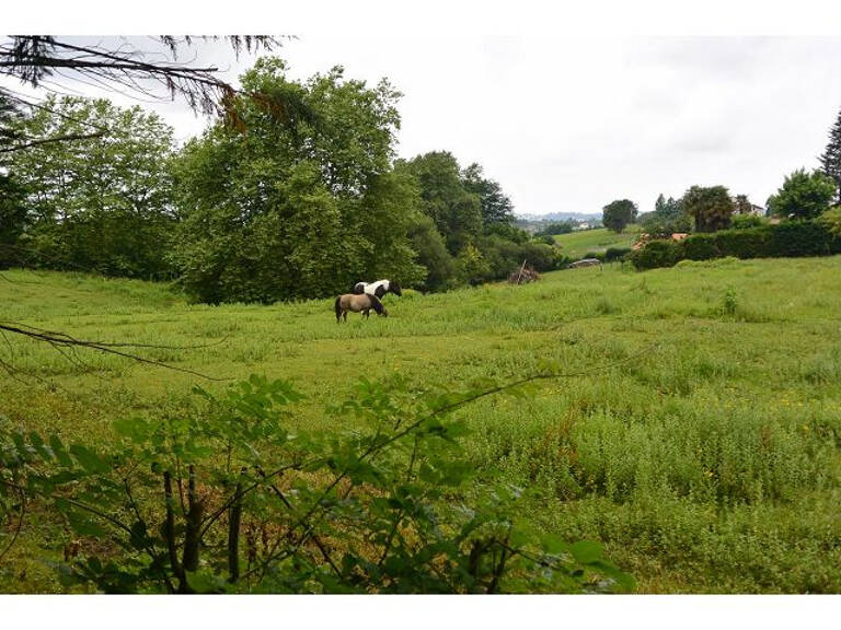 Grand terrain au calme — photo 1