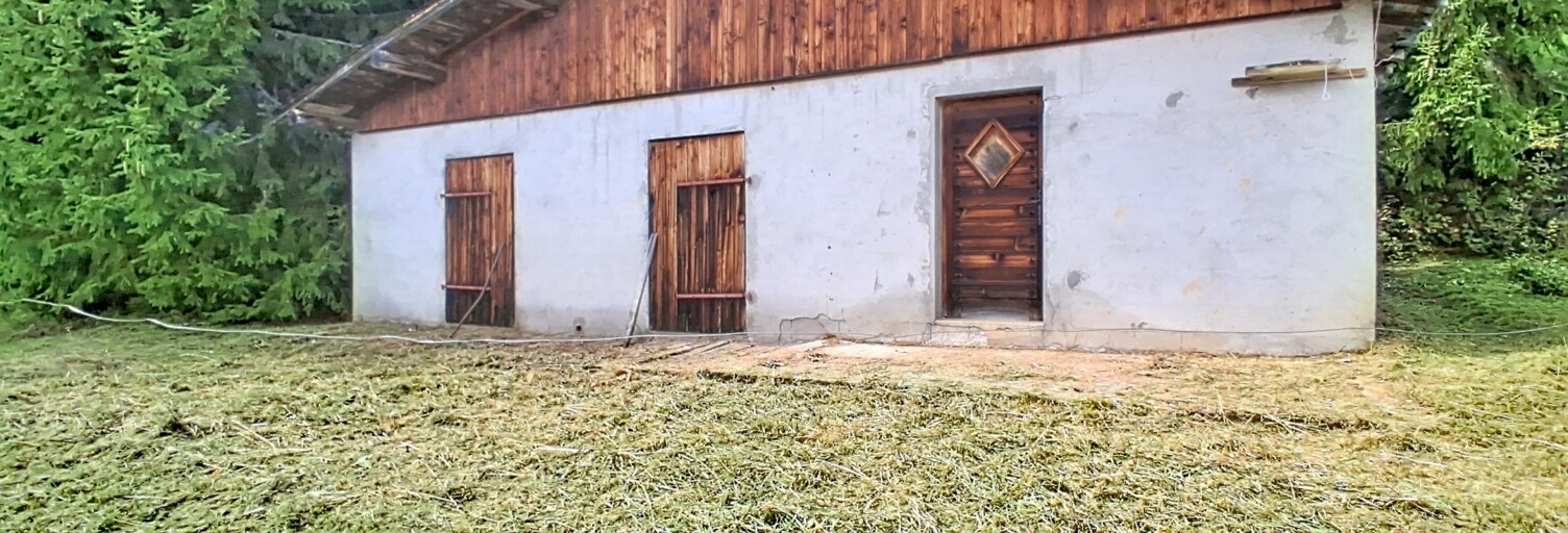 Maison 2 Pièces 35 m² à vendre à Megève (74120)