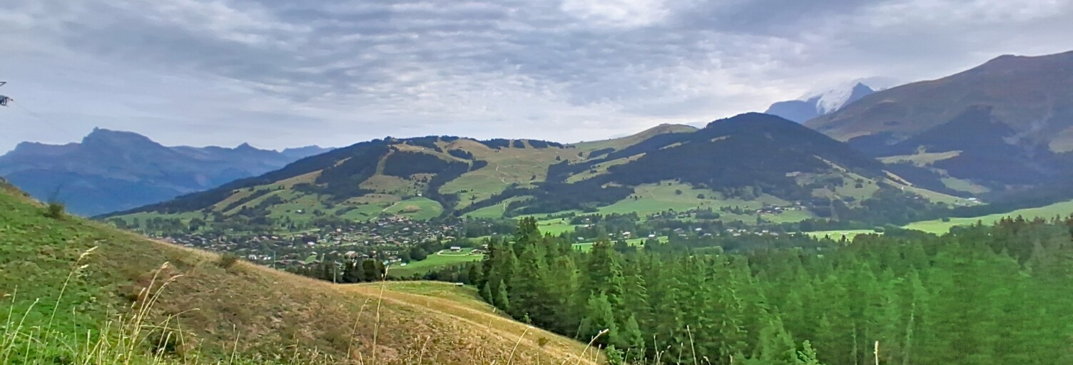 Photo N° 2