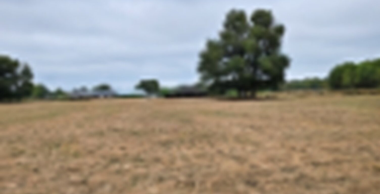 Terrain à bâtir à Cézac (33620) — photo 1