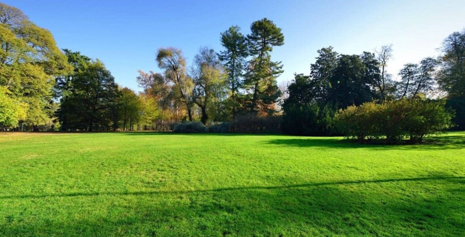 Terrain à bâtir à Saint-Quentin-de-Baron (33750) — photo 1