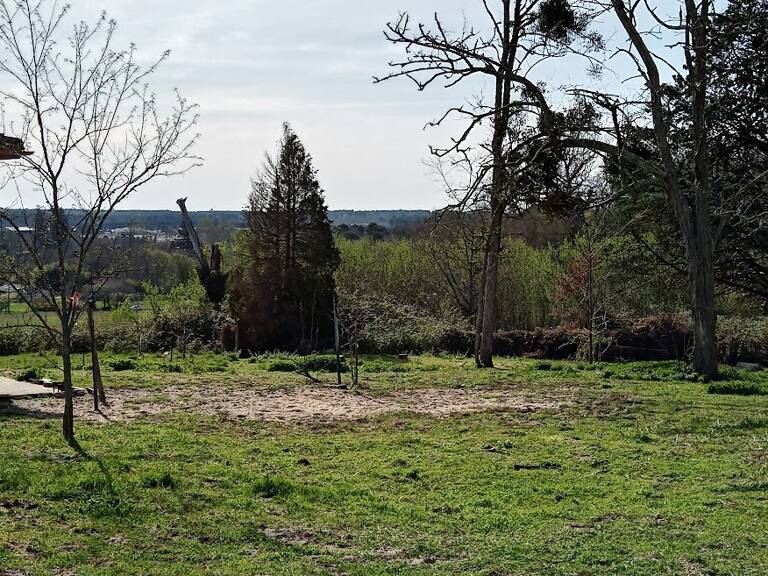 Terrain à bâtir à Pompéjac (33730) — photo 1