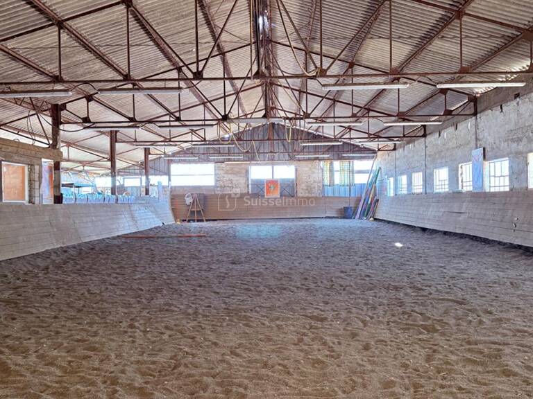 CENTRE EQUESTRE AVEC MANEGE COUVERT ET CABINET D'EQUITHERAPIE — photo 1
