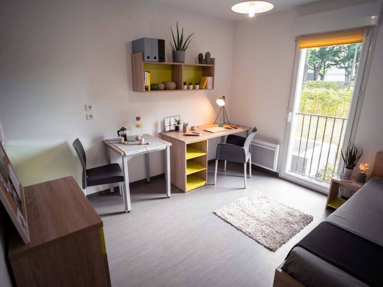 A LOUER - STUDIO MEUBLE PLEIN COEUR DU CAMPUS DE BELLE-BEILLE ANGERS — photo 1