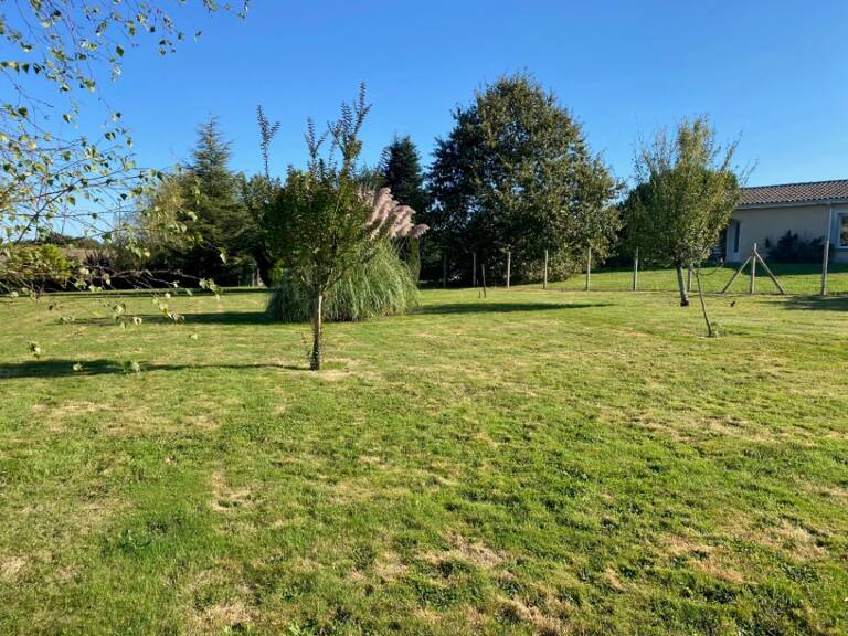 Terrain à bâtir à Romagne (33760) — photo 1
