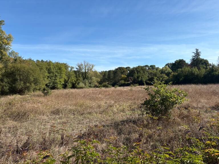 Terrain à bâtir à Marcheprime (33380) — photo 1
