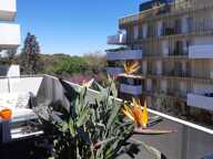 Appartement de 67m2 à louer sur Montpellier — photo 3