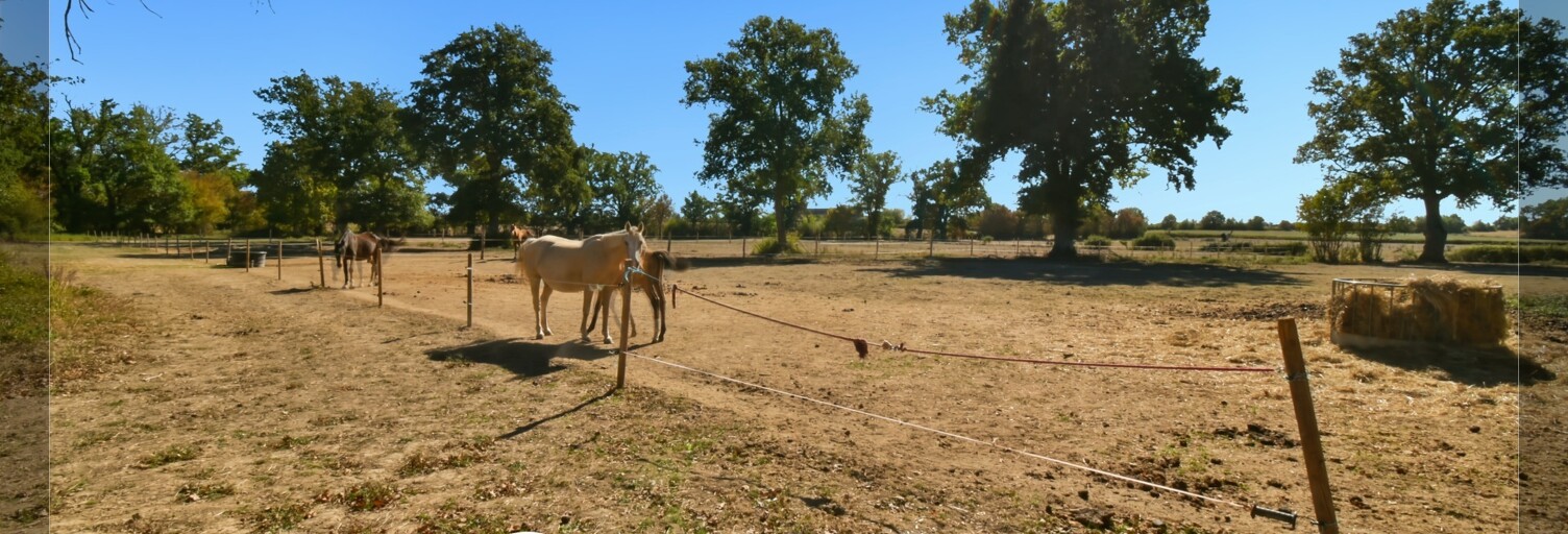 Maison 5 Pièces 138 m² à vendre à Orcenais (18200)