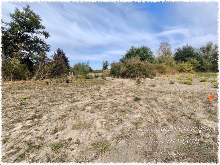 ENSEMBLE FONCIER DE 8 008 M² AVEC ACCÈS DIRECT AU CHER – PREUILLY (18120) — photo 1