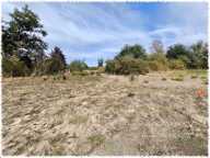 TERRAIN DE 1 373 M² – PREUILLY (18120) — photo 2