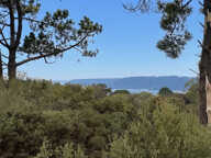Charme Néo-Breton et Nature : Maison Familiale de 5 Chambres sur 8 000 m² — photo 2
