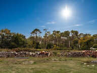 Charme Néo-Breton et Nature : Maison Familiale de 5 Chambres sur 8 000 m² — photo 4