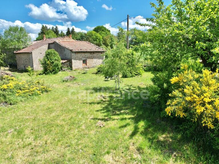 MAISON À RÉNOVER DE 100 M2, TERRAIN DE 965 M2, 3 CHAMBRES, 117 M2 DE DÉPENDANCES, GARAGE, CAVE, FOUR À PAIN, SOURCE — photo 1