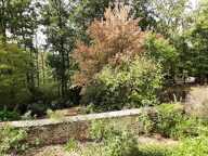 Maison à vendre 6 pièces BURES SUR YVETTE (91), spacieuse, 4 chambres, sous-sol total, terrain 1 565 m2 — photo 2