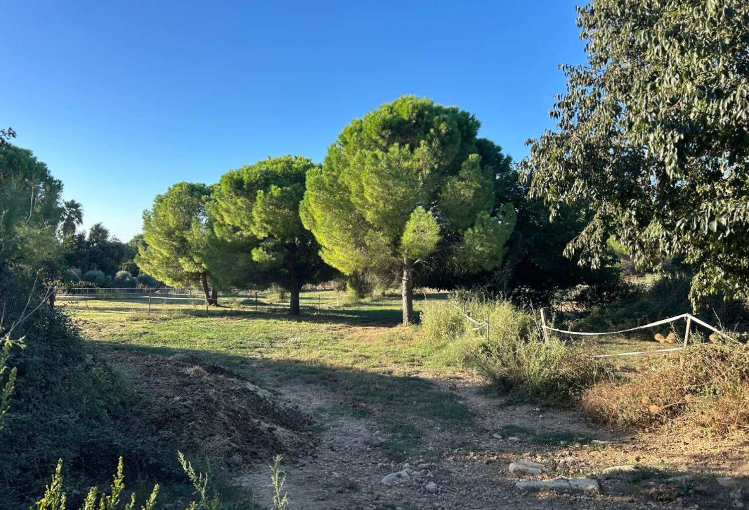 Terrain À Vendre — photo 1