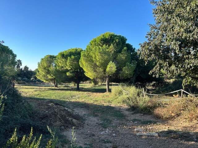 Terrain À Vendre — photo du bien