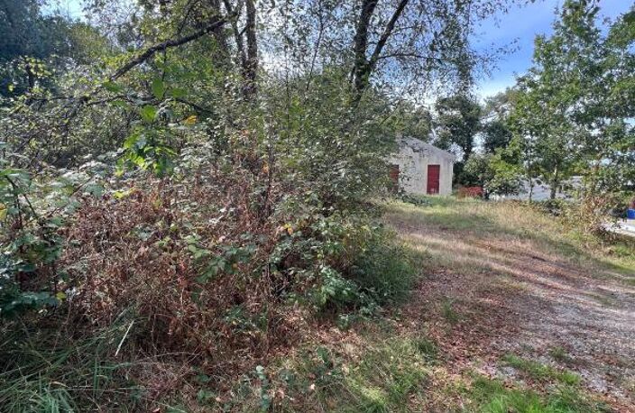 À VENDRE – ARGOL – FINISTÈRE – PRESQU’ÎLE DE CROZON-EXCEPTIONNEL TERRAIN DE LOISIRS DE 40 000 m² — photo 2