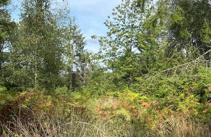 À VENDRE – ARGOL – FINISTÈRE – PRESQU’ÎLE DE CROZON-EXCEPTIONNEL TERRAIN DE LOISIRS DE 40 000 m² — photo 3