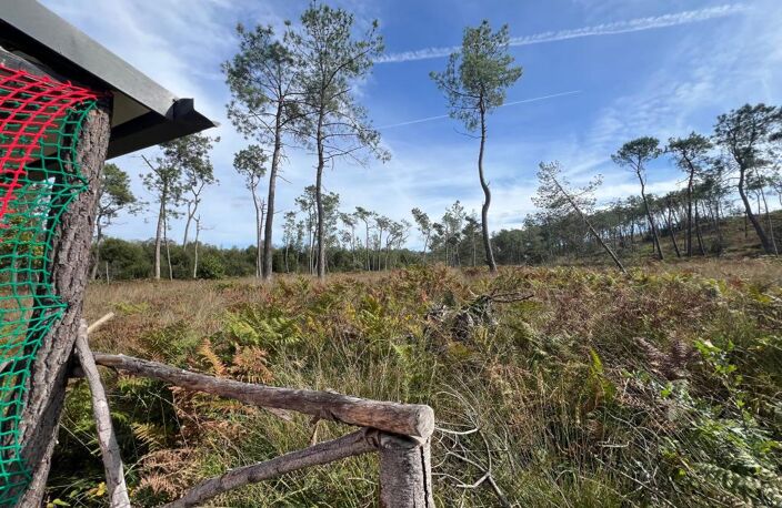À VENDRE – ARGOL – FINISTÈRE – PRESQU’ÎLE DE CROZON-EXCEPTIONNEL TERRAIN DE LOISIRS DE 40 000 m² — photo 5