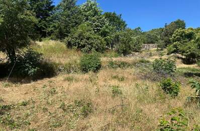 Terrain constructible avec panorama sur les montagnes ardéchoises — photo du bien