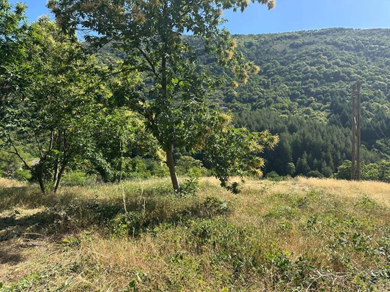 Terrain constructible avec vue Montagne Ardéchoise — photo 1