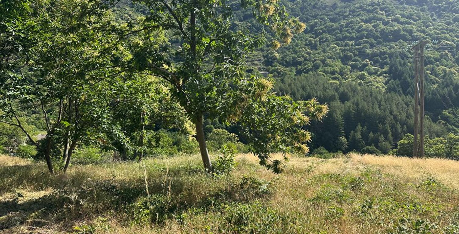 Terrain constructible avec vue Montagne Ardéchoise — photo 1