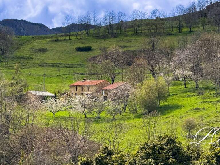 Proprieté Eco-rurale de 54 ha — photo 1